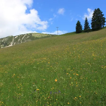 Appartementhaus Egghof Apartamento *